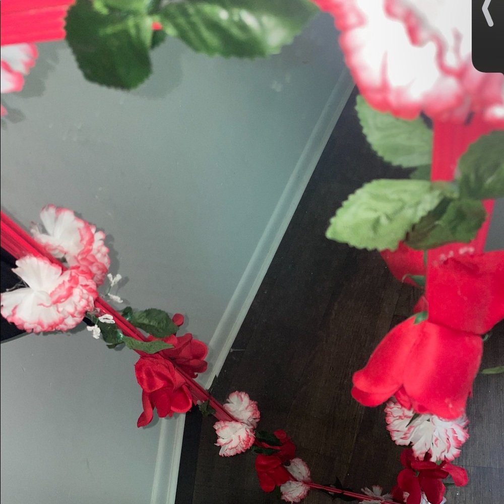 Mainstays 13 inch x 49 inch Pink flower Rectangle Door Mirror